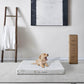 Pending - Rest Therapy 3 Inch Invigorate Bamboo Cool Gel Memory Foam Dog Bed - Available in 3 Sizes