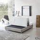 Pending - Rest Therapy 6 Inch Exhilarate Tri Fold Bamboo Cool Gel Memory Foam Mattress - Available in 3 Sizes